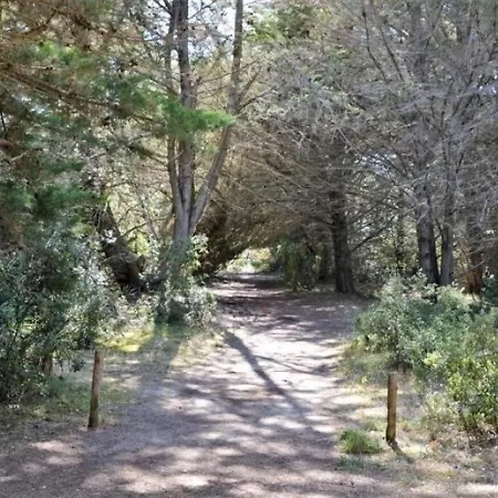 Appartamento 4 Personnes Maisonnette Cote Dunes A Sur L'ile De Noirmoutier Pour 4 Personnes.